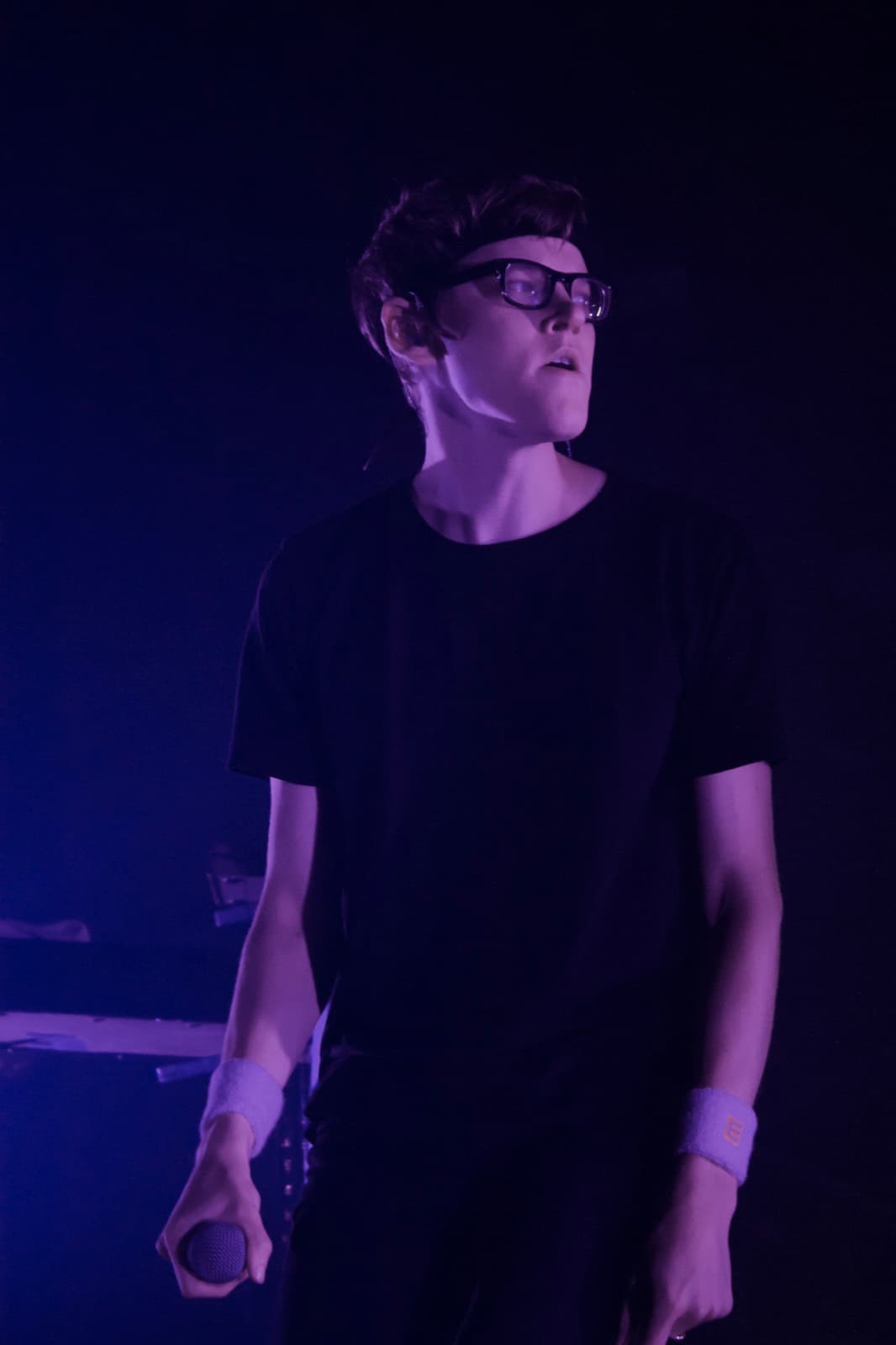 RAC, Webster Hall 2015, photographed by Eric Daniel Horn